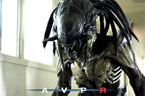 avp3.jpg