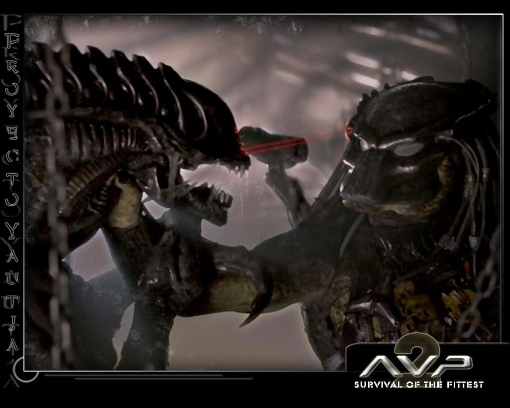 avp7.jpg